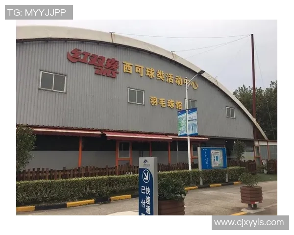 上海羽毛球队运营模式分析与发展趋势探讨